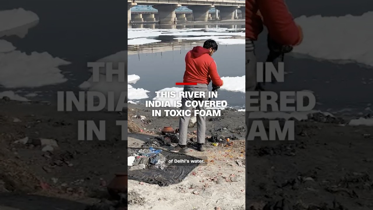 This river in India is covered in toxic foam
