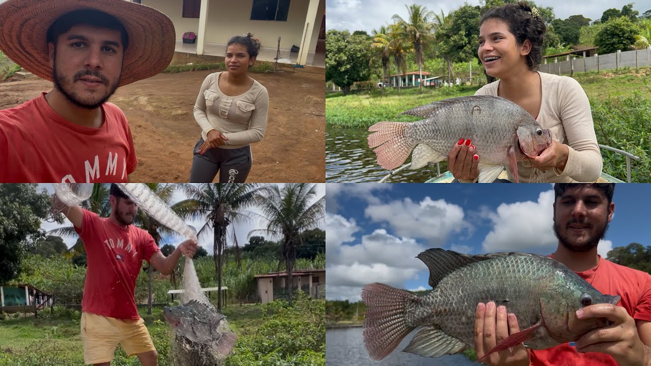 ESSA VALEU A PENA | SÓ TILÁPIAS GRANDES | 5 gigantes!!!😱🙌🤩