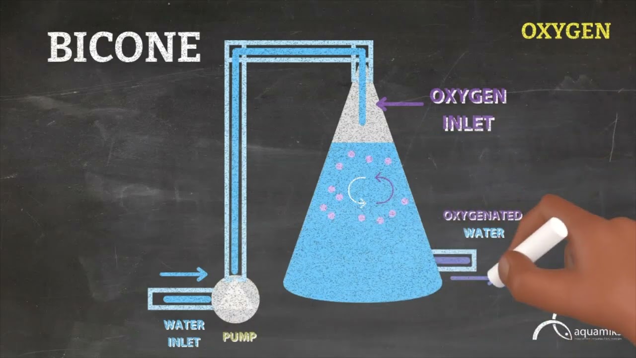 Choosing an oxygenation equipmet 2/2 | skill-LAB | aquamiks