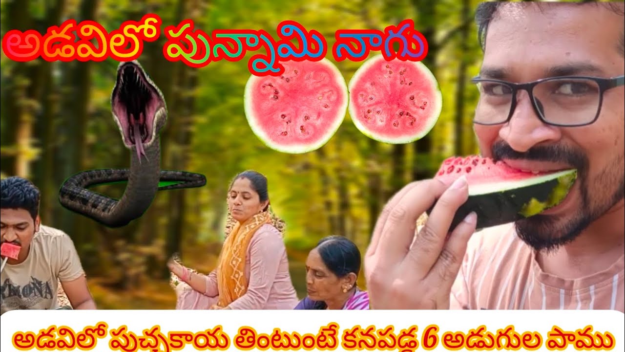 పుచ్చకాయ తినటం కోసం అడవికి వెళ్లిన మాకు పాము🪱 Shock ఇచ్చింది |Family Vlogs |The Abhi Srinivas