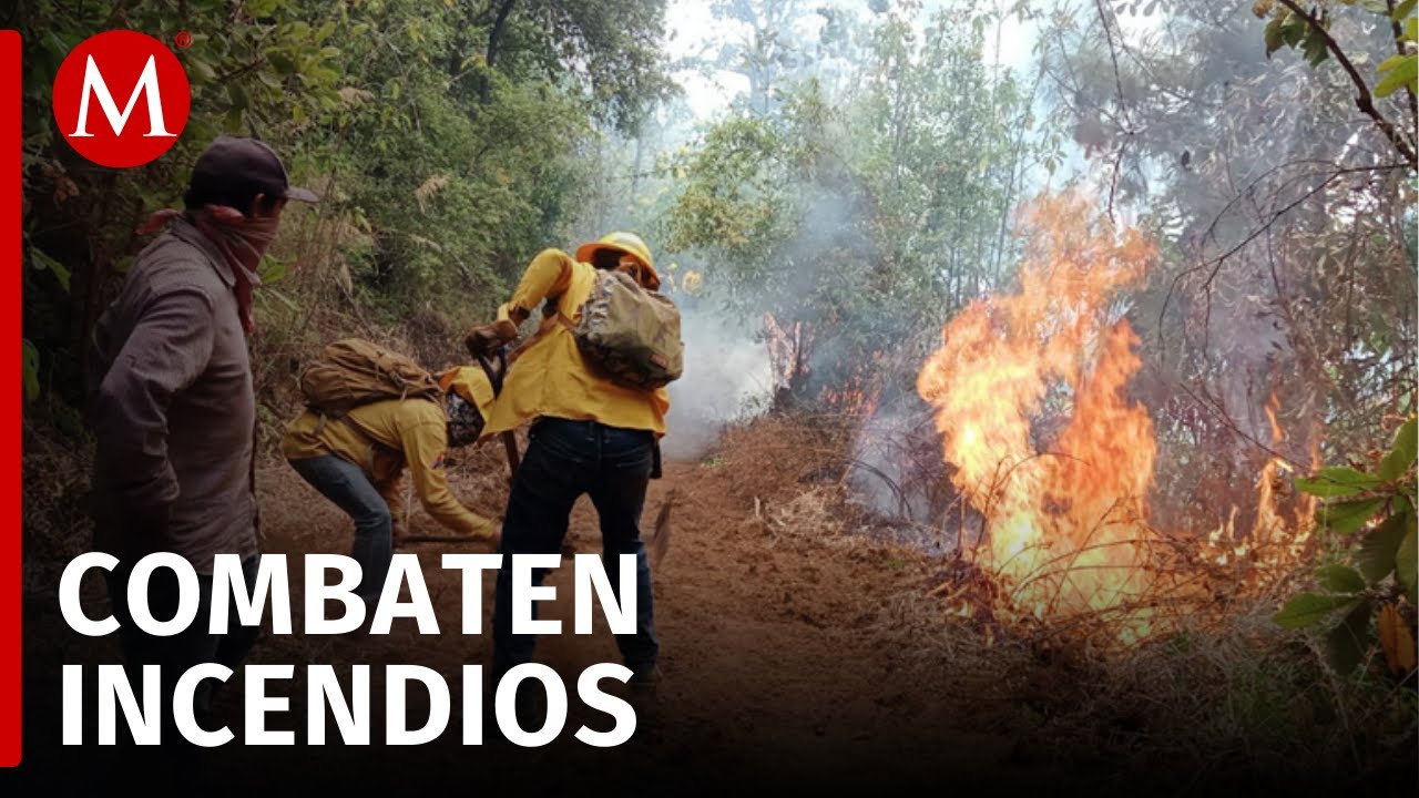 &ldquo;Brigadas Dragones&rdquo; combaten 54 incendios en Edomex