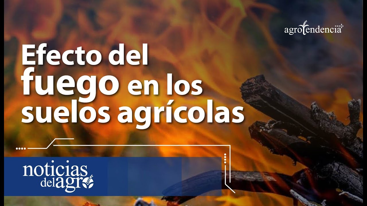 Efecto del fuego en los suelos agrícolas 🔥