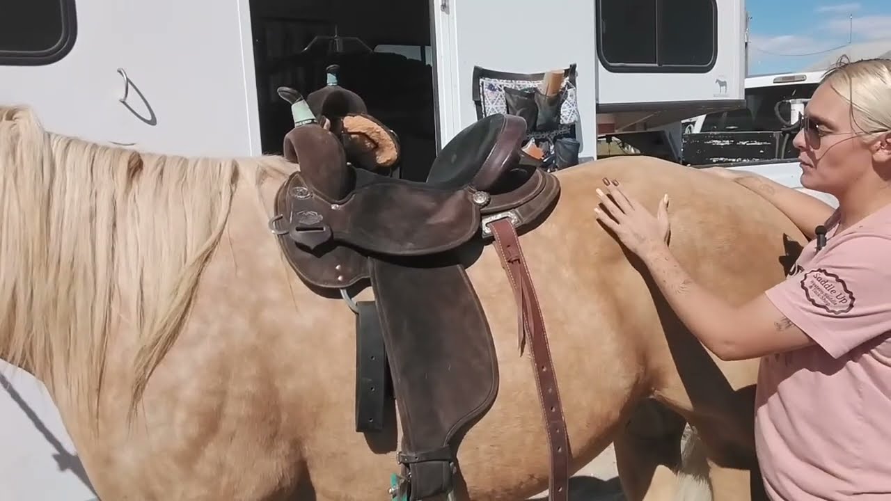 Updated Tutorial: How to Check Your Saddle Fit at Home (Easy, Accurate, & Horse-Approved!)