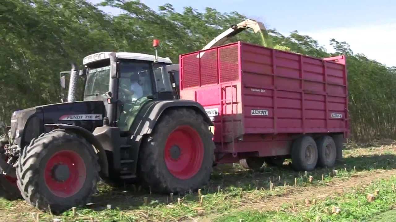 Willow Harvesting with Gorthill Farm Contracting 