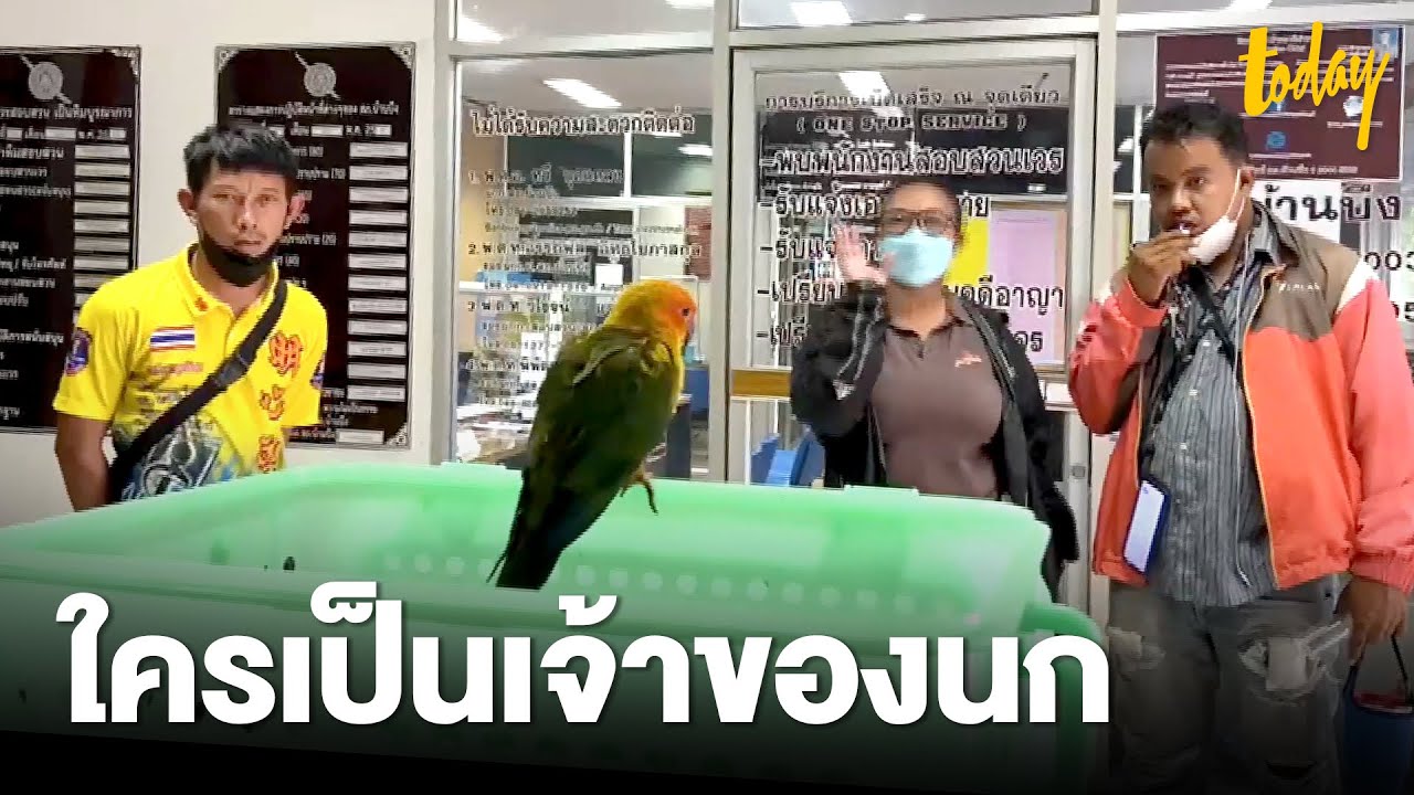 ตามหาเจ้าของนก 'ซันคอนัวร์' ตัวจริง | workpointTODAY