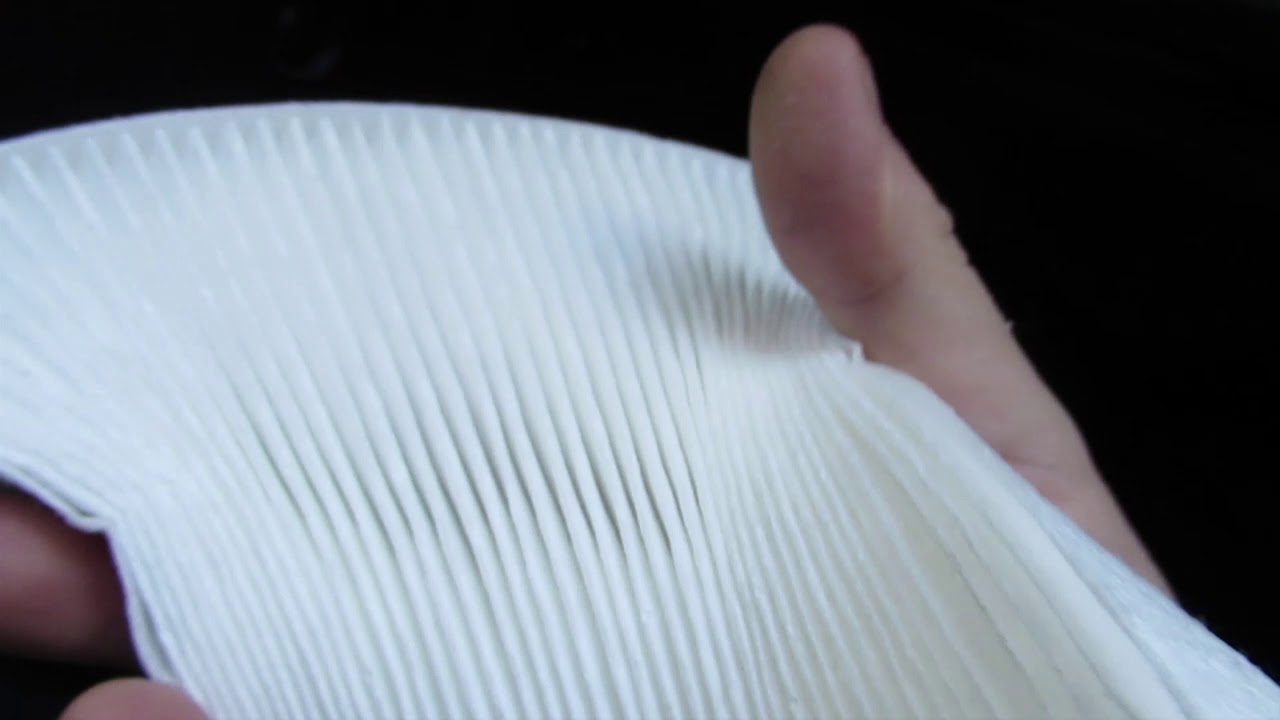 Nissan Versa Note Cabin & Engine Air Filter Replacement & More