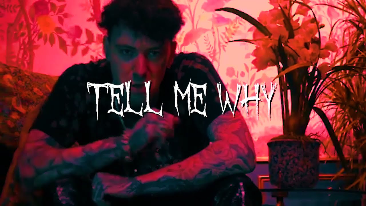 FREE FOR PROFIT / SAD/HARD LiL PEEP x BRENNAN SAVAGE TYPE BEAT / tell me why / prod. TAYLORJ