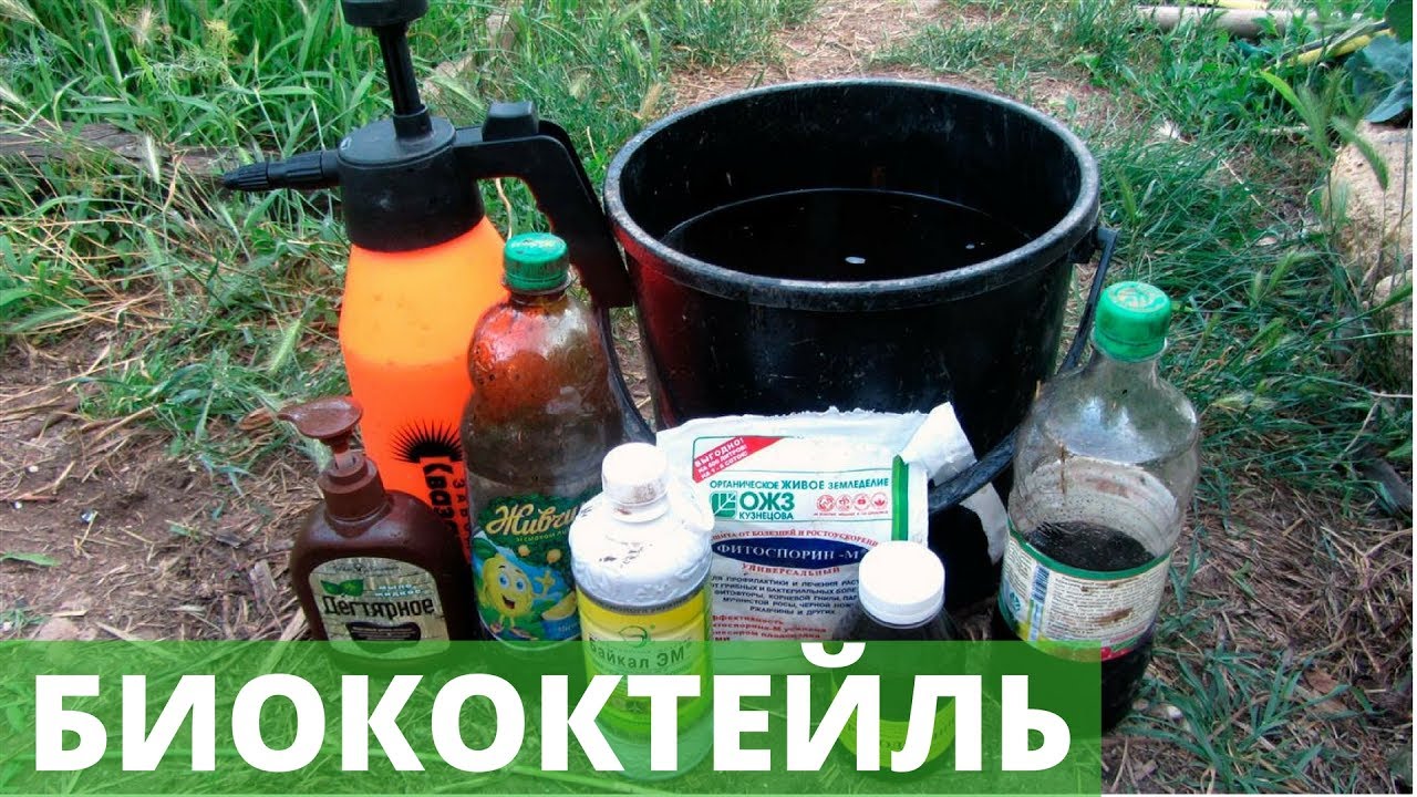 Защита растений 