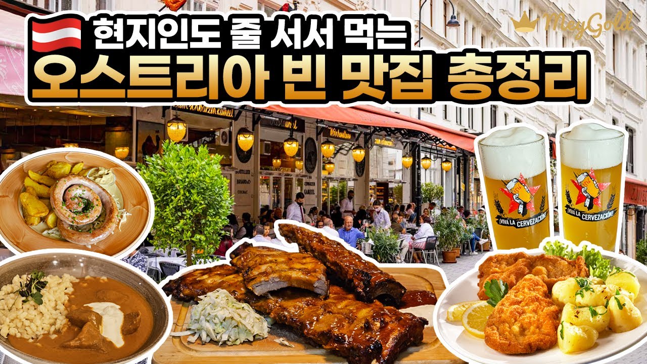 오스트리아 빈 맛집 총정리🇦🇹 현지인도 줄서서 먹는 비엔나 맛집과 꼭 먹어봐야하는 메뉴까지! (슈니첼, 립, 생맥주 맛집🍖🍺)