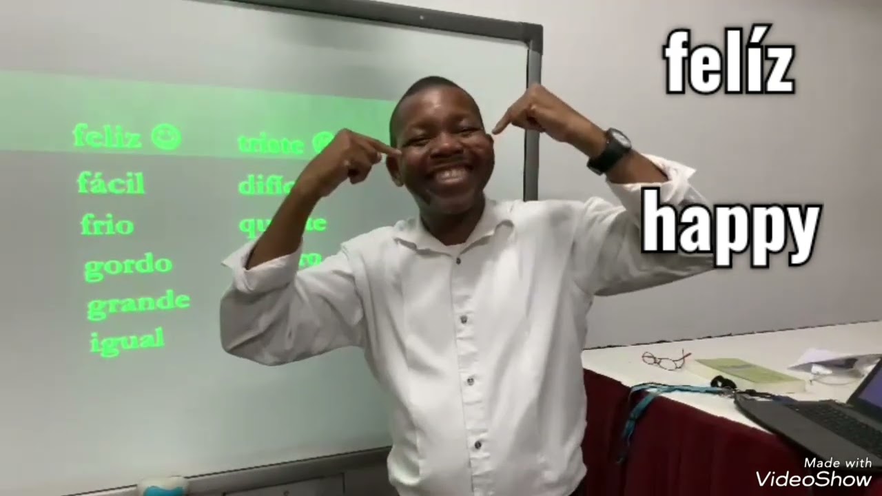 Os Adjectivos em Língua de Sinais de Moçambique /The adjectives in M Sign language