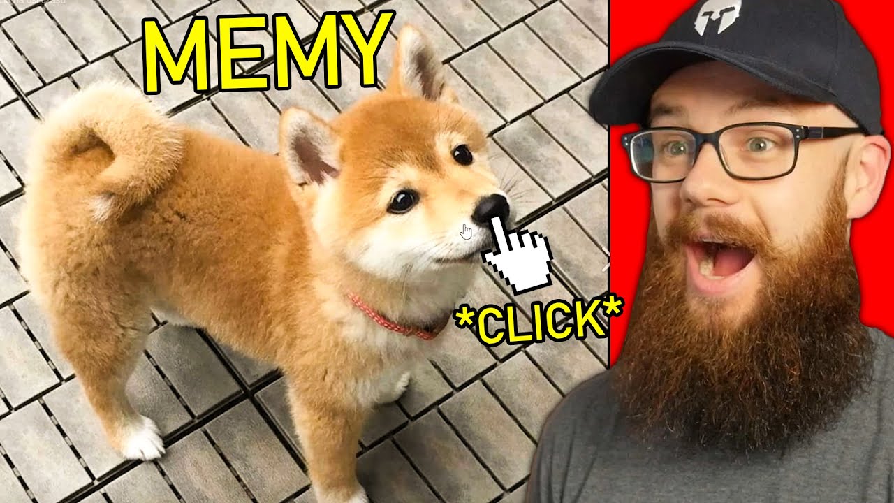 🔥 NAJLEPSZE MEMY Z PJESKU HEHESZKU