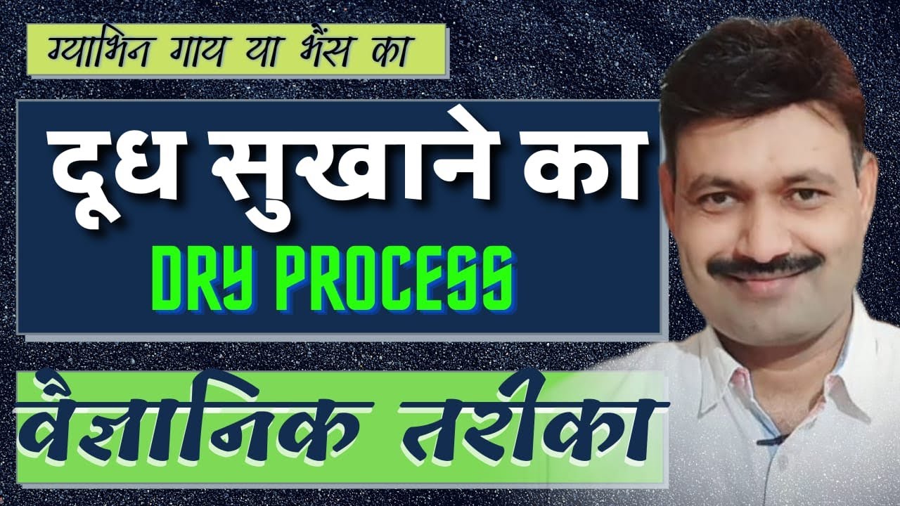 Cow ko Dry kaise kare 100 % Unique tarika  Ramawat