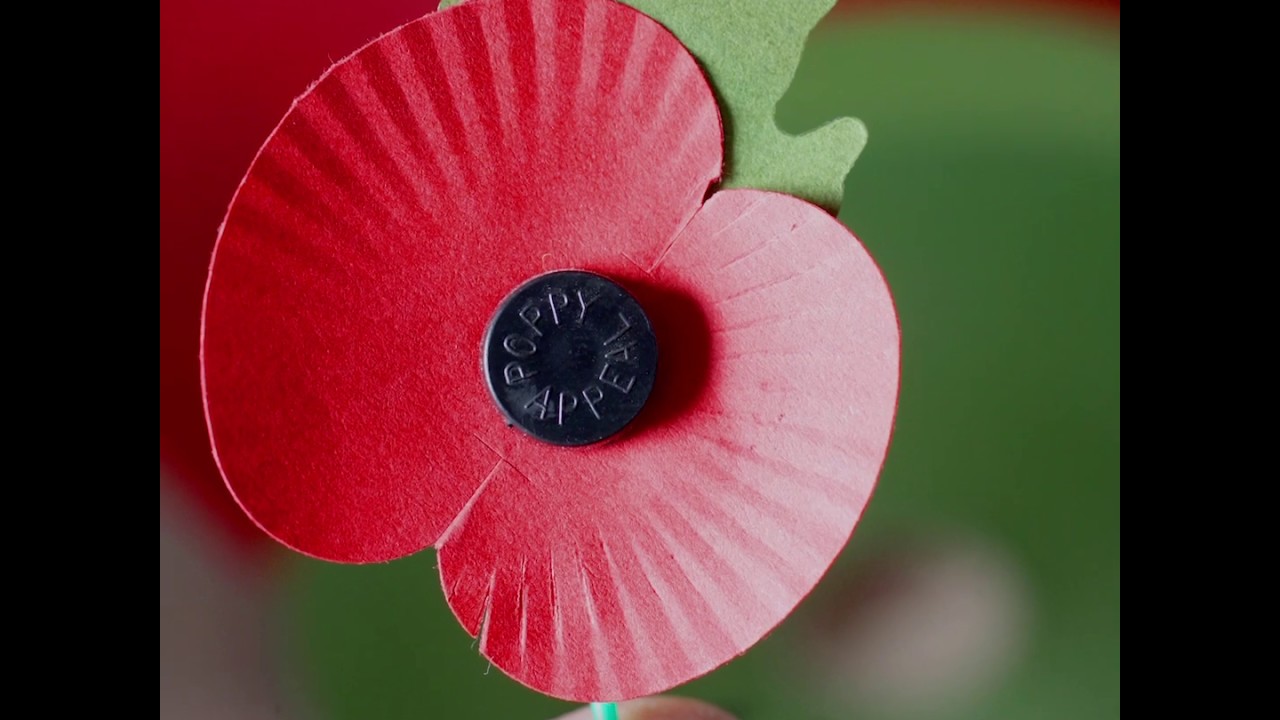Where Do Remembrance Poppies Come From?