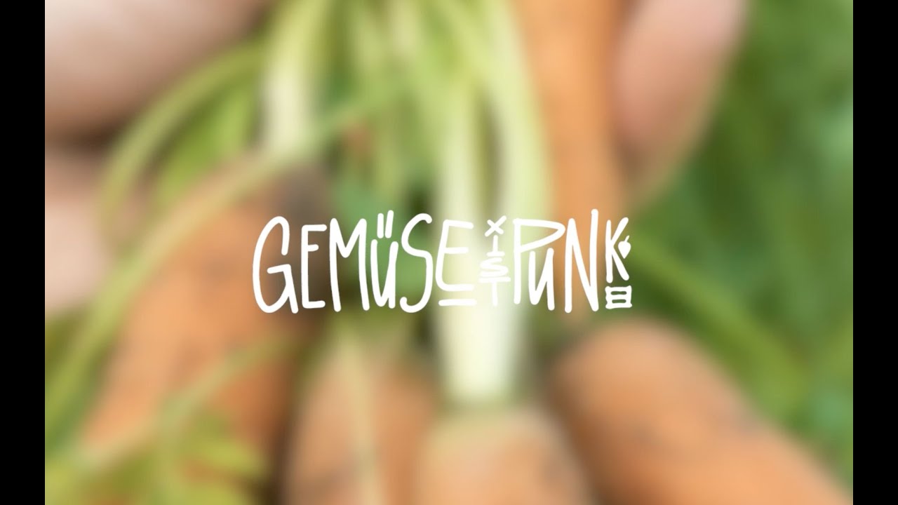 Gemüse ist Punk - Matze Rossi - Original Musikvideo