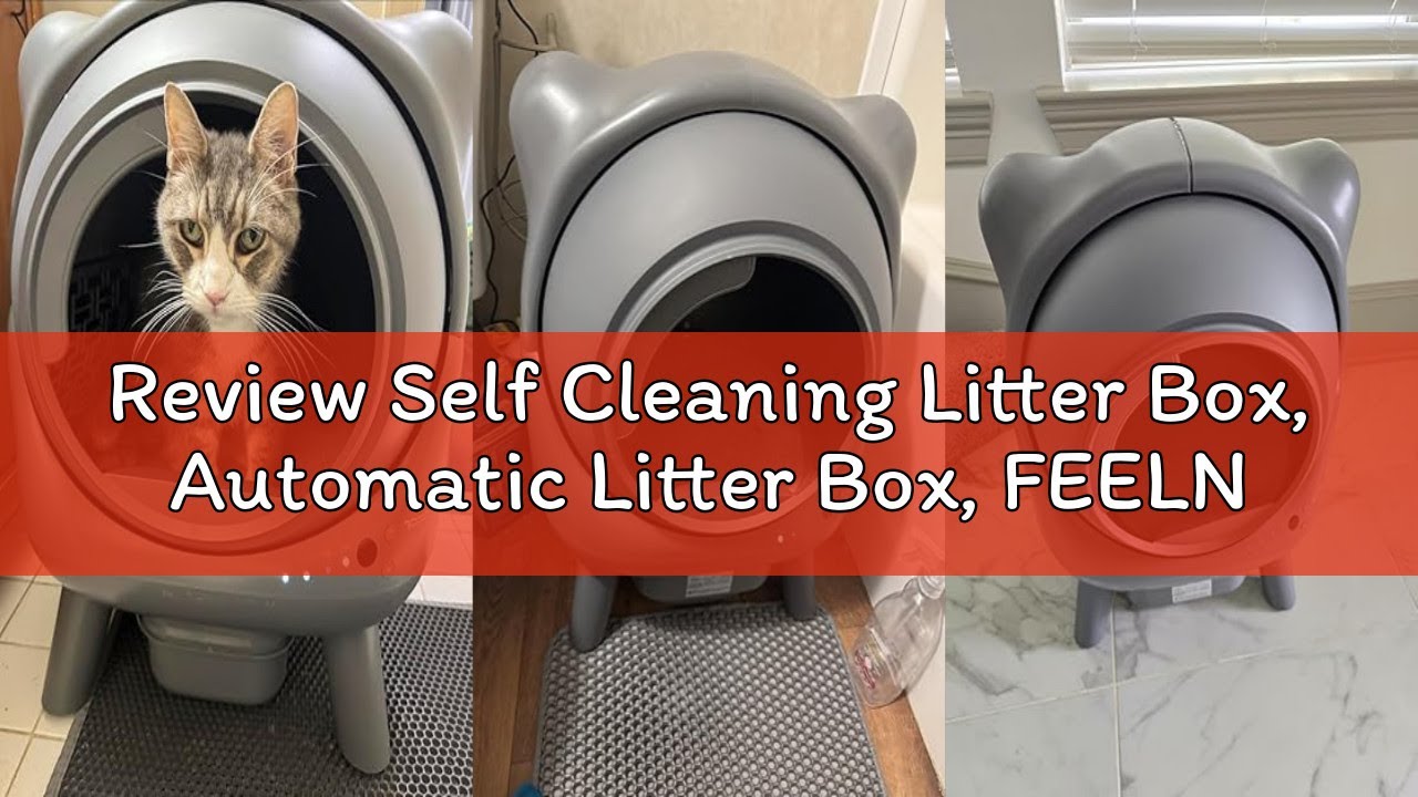 Review Self Cleaning Litter Box, Automatic Litter Box, FEELNEEDY Odor Control Robot, Cat Ears Design
