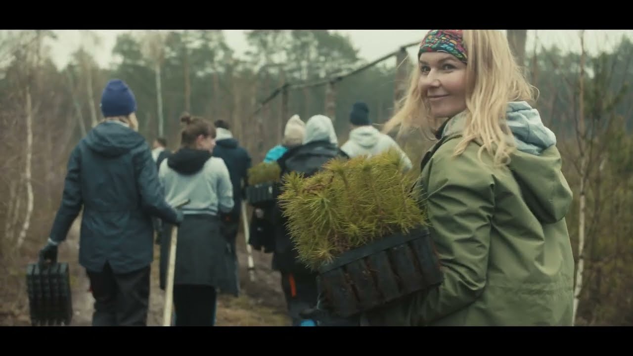 Pracownicy mPTech i Play zasadzili 4000 drzewek pod Warszawą