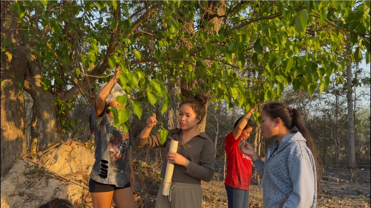 ກ່ອງຕັງໄວ້ຕິດແມງຈັກກະຈັ່ນ🇱🇦ก่องตังไว้ติดจั๊กกระจั่น