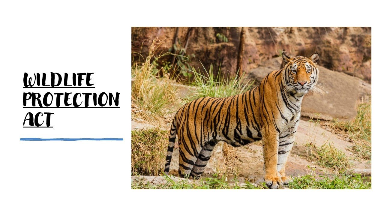 Wildlife Protection Act 1972