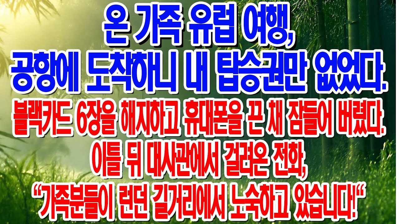 공항에 내 표만 없어 홧김에 카드 해지하고 잠수. 이틀 뒤 대사관이 가족은 런던 길바닥에 있단다....|부모자식갈등 | 사연 이야기 | 오디오북