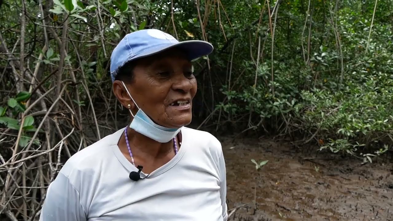 Manglares de Tumaco, Colombia - una mirada a las necesidades sociales y ambientales