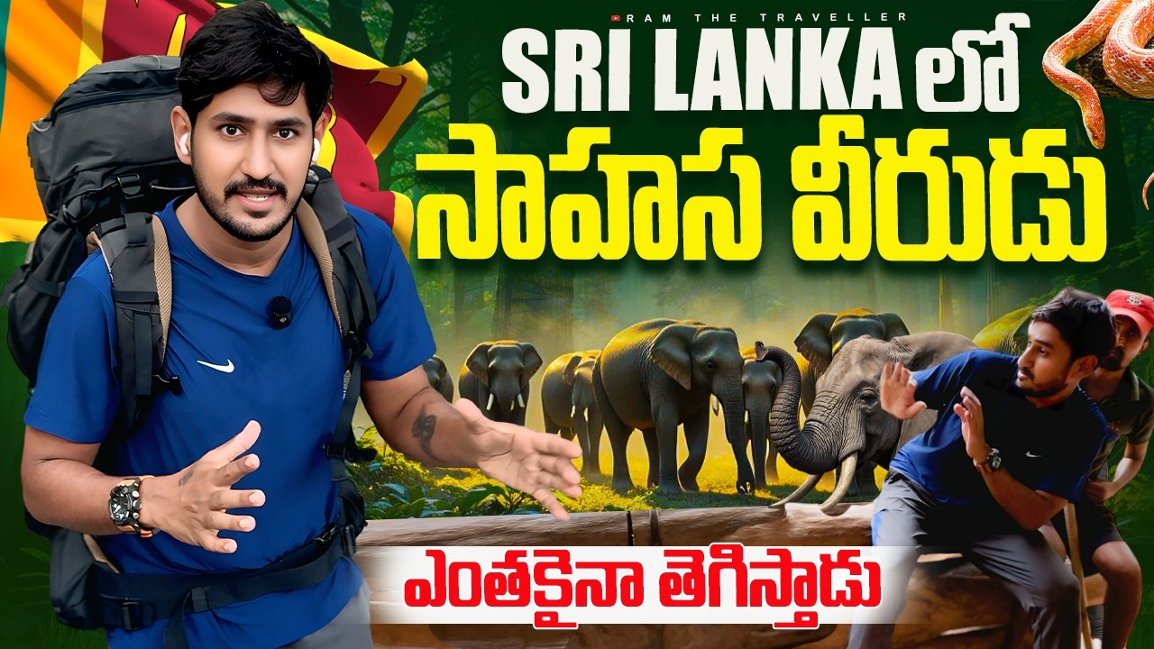 శ్రీ లంక 🇱🇰 సాహసమైన ప్రయాణం  ఒక్కడినే | Sri Lanka Elephant Orphanage Journey 🇱🇰