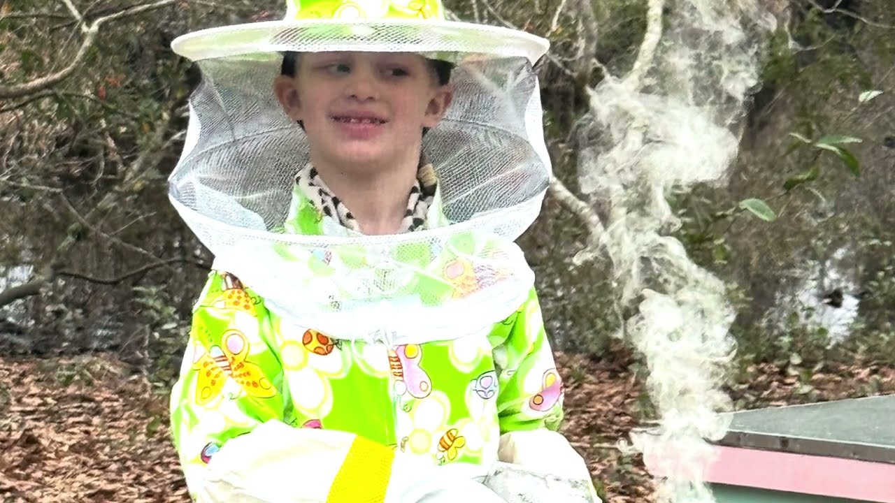 Hive Check: Making Sure the Queens Have Room to Lay!