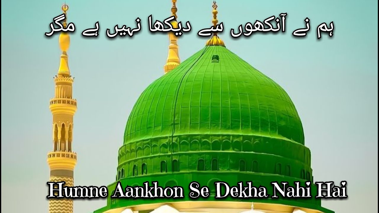 ہم نے آنکھوں سے دیکھا نہیں ہے مگر