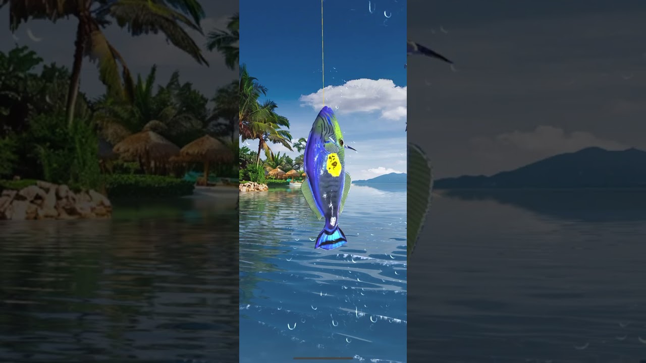 Fishing 🎣 Travel On The IOS!