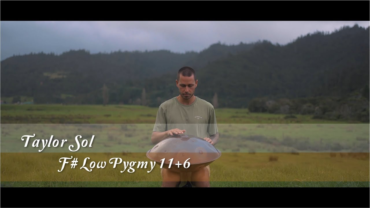 MrPans handpan - F# Low Pygmy 11+6 - Taylor Sol
