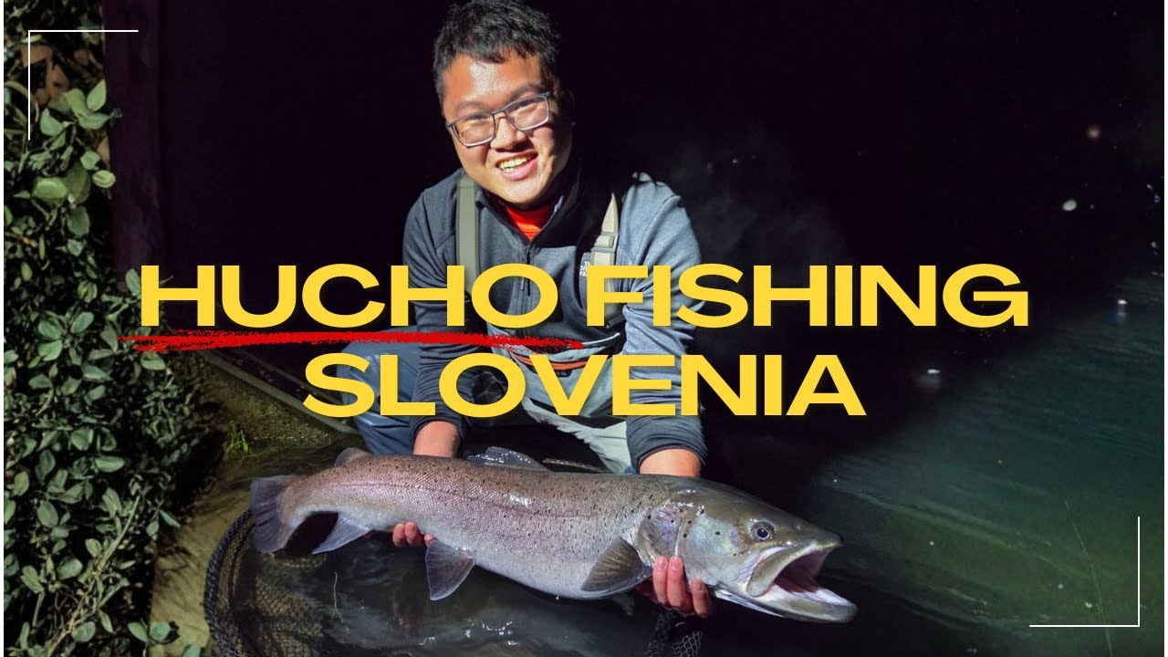 Targeting the Rarest Fish in Europe : Hucho Fishing in Slovenia