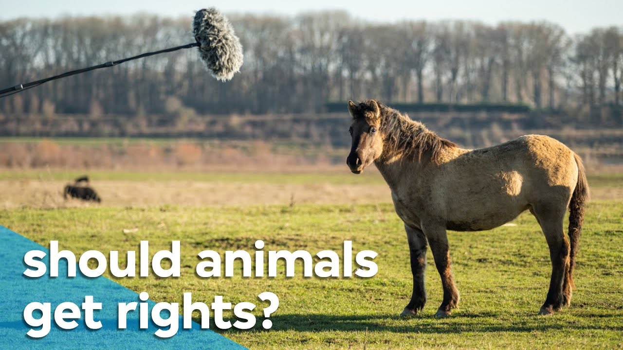 Voice of Nature | VPRO Documentary