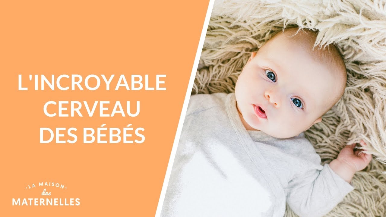 L'incroyable cerveau des bébés - La Maison des maternelles #LMDM