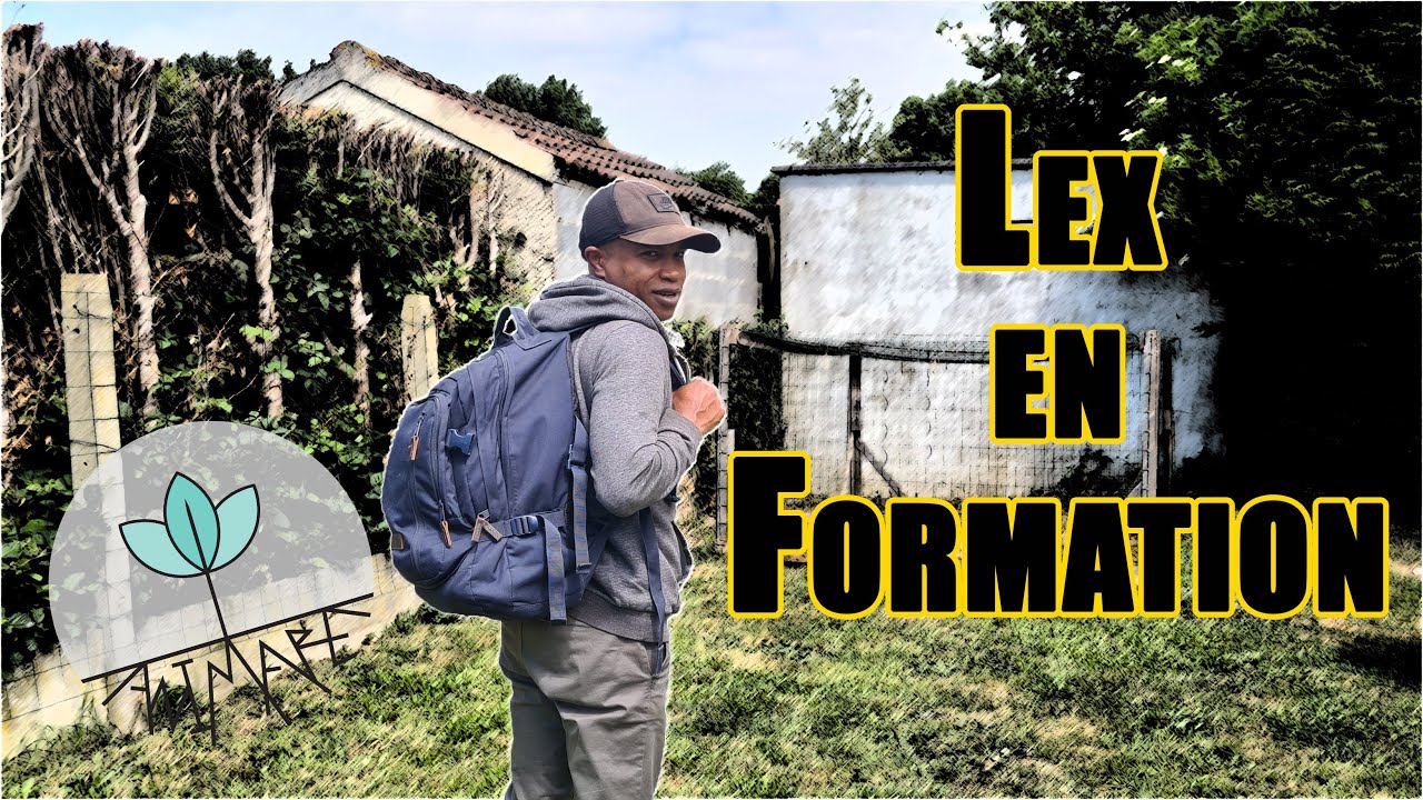 Comment Passer un BPJEPS Gratuitement ?