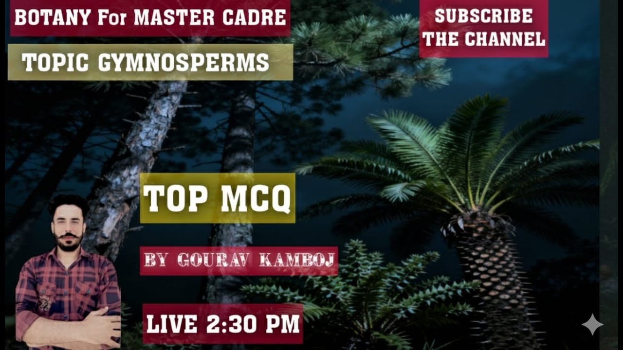 CLASS 8I GYMNOSPERM BEST MCQ #mastercadre  #lecturer #biology I BY GOURAV KAMBOJ