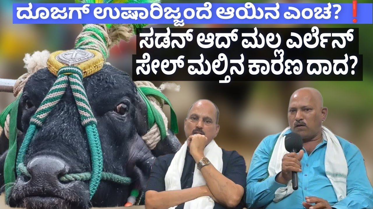 Padavu Kanadka ದೂಜಗ್ ಉಷಾರಿಜ್ಜಂದೆ ಆಯಿನ ಎಂಚ? ❗ಸಡನ್ ಆದ್ ಮಲ್ಲ ಎರ್ಲೆನ್ ಸೇಲ್ ಮಲ್ತಿನ ಕಾರಣ ದಾದ? 🔥❗