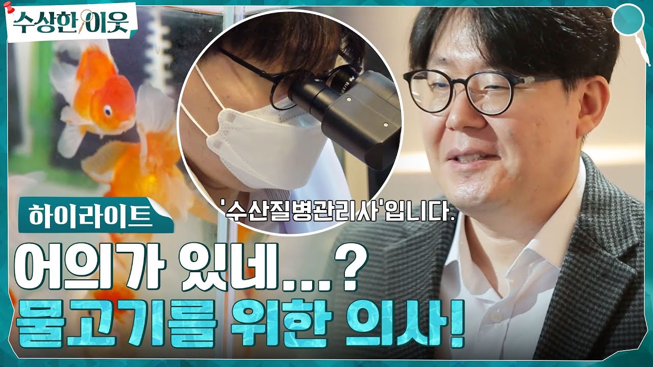 어(漁)의가... 있네...? 물고기만을 위해 존재하는 의사, 수산질병관리사 #highlight #수상한이웃 EP.4