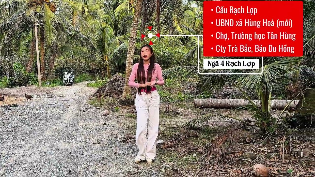 350triệu/1 nền(10m x 35m)Có dừa👉3 nền liền kề♻️ Tại Khóm 6, Thị trấn Tiểu Cần 👉 Cách Quốc lộ 54 150m