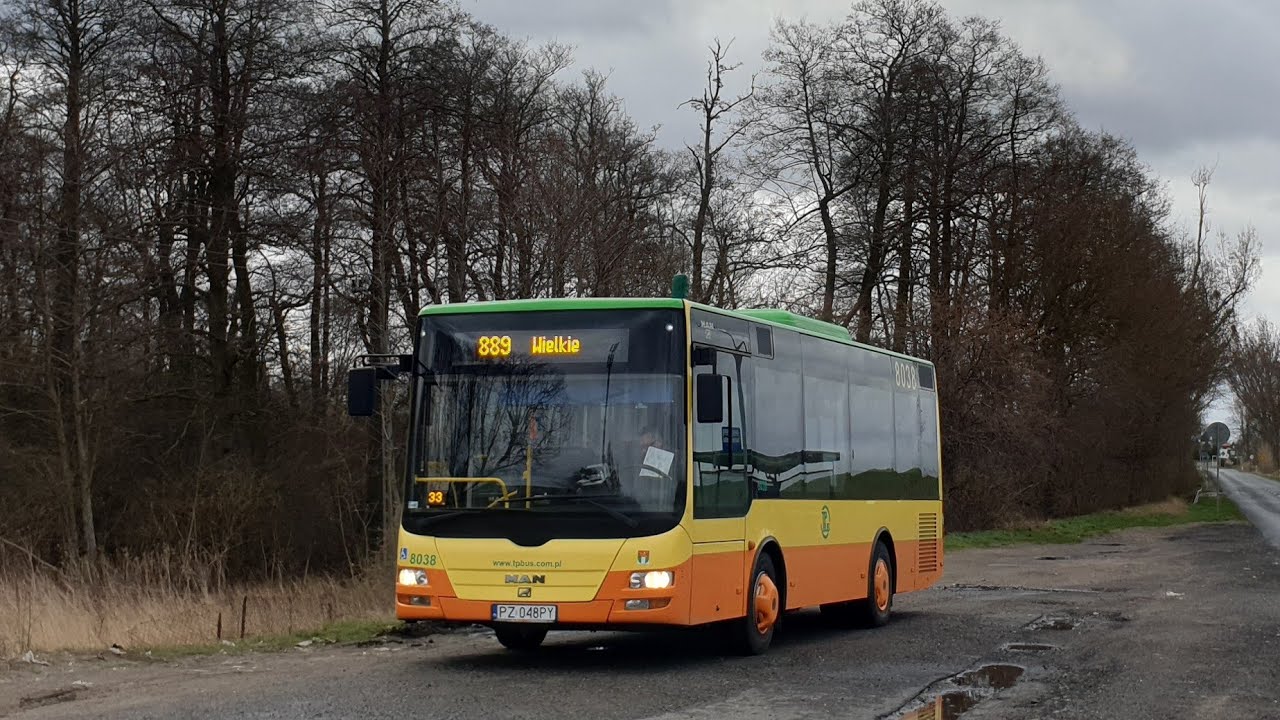 TP Bus Tarnowo Pdg. - linia 889 | MAN NM243 Lion's City 