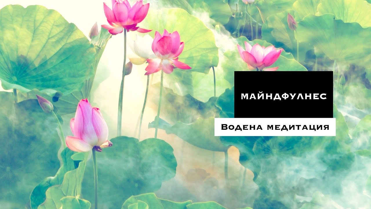 Медитация Майндфулнес