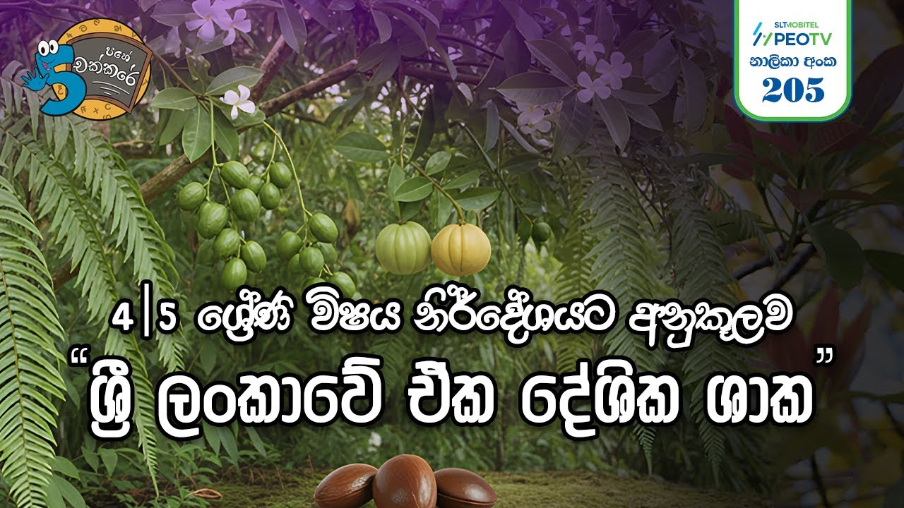 🌿 ඒක දේශීක ශාක | Eka Deshika Shaka | Pahe chakkare PEO TV 205