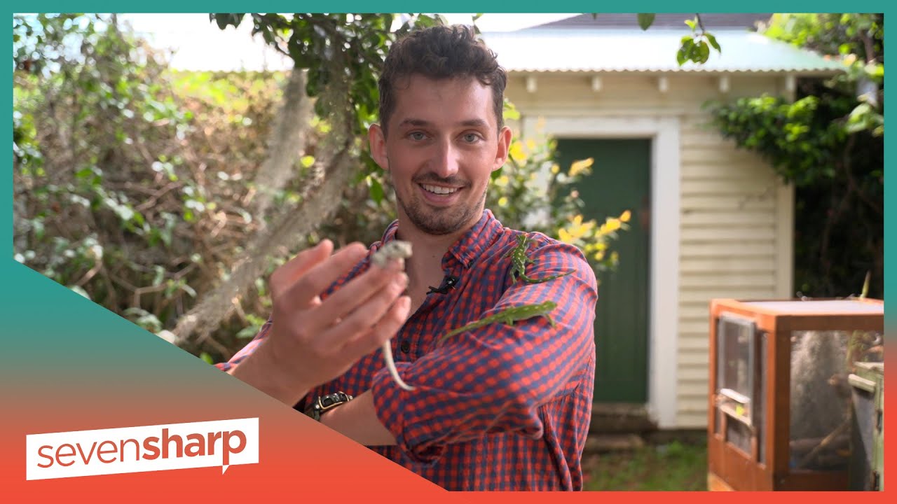 A love of lizards…