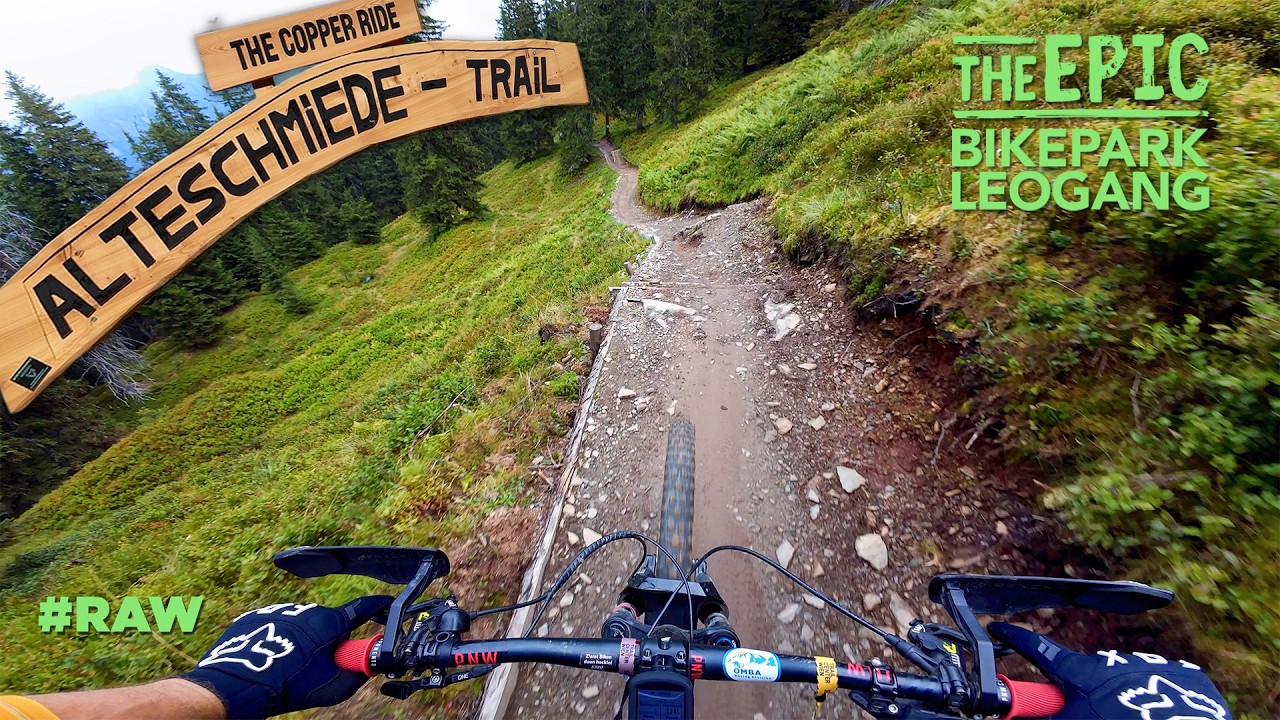 AlteSchmiede Trail - The Epic Bikepark Leogang