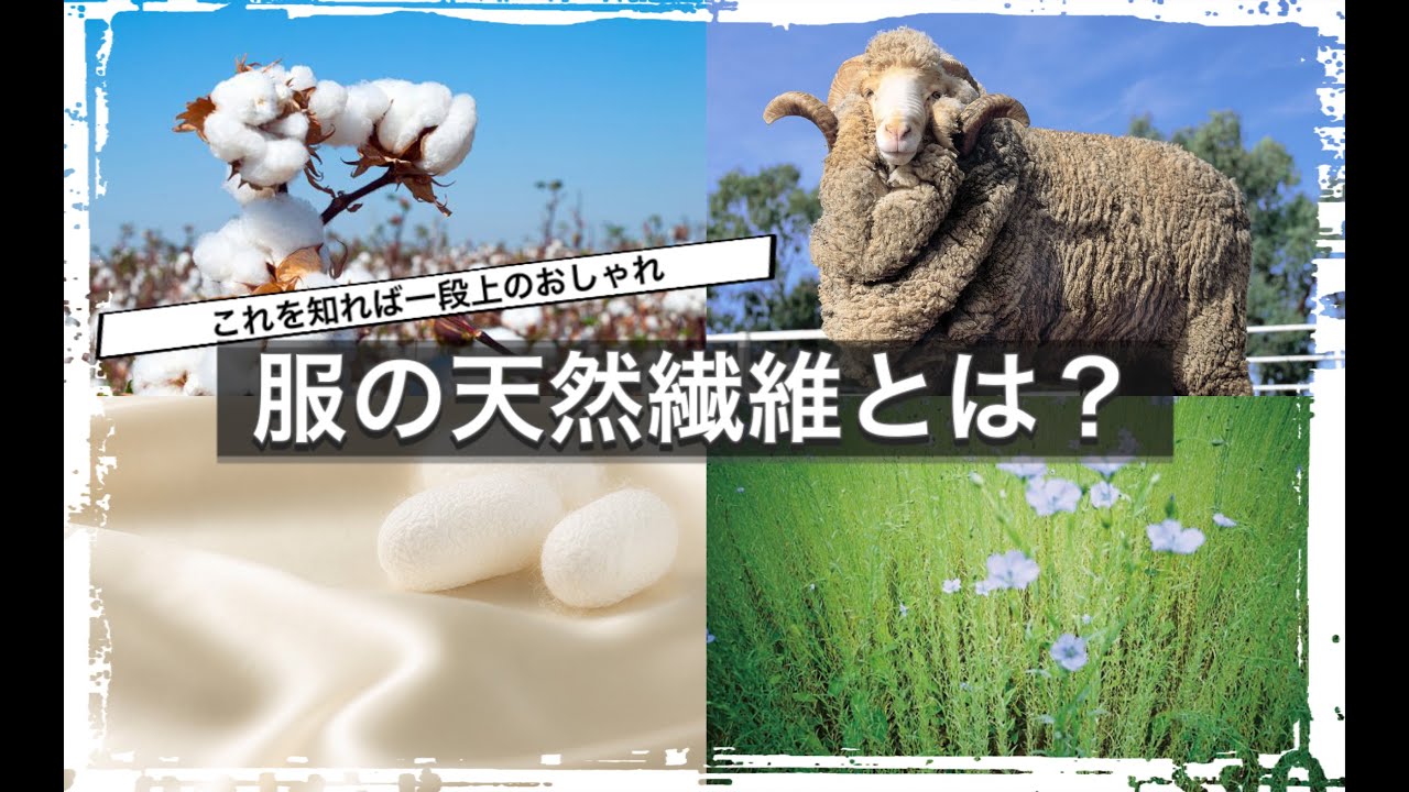 【天然素材の紹介】素材を知れば一段上のおしゃれに 綿・麻・ウールの天然繊維編