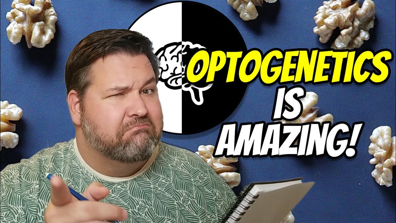 What is Optogenetics? The technology that is changing neuroscience