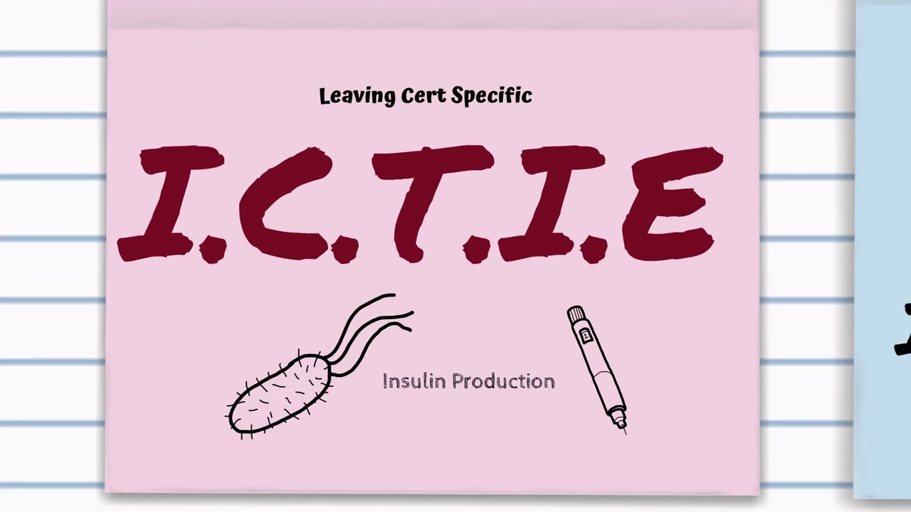 Genetic Engineering-Fast Summary-BiologyBugbears