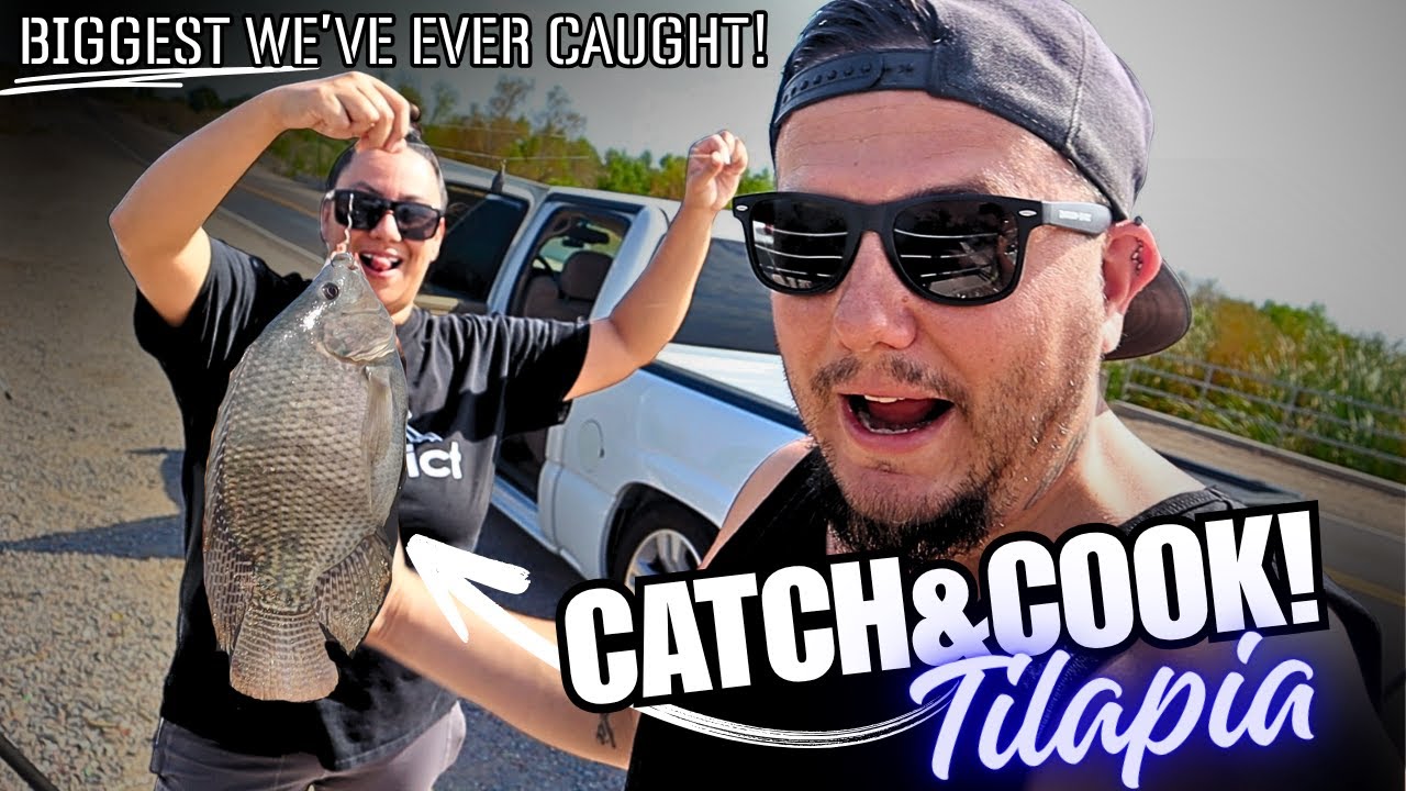 Catch and Cook! Biggest TILAPIA EVER!