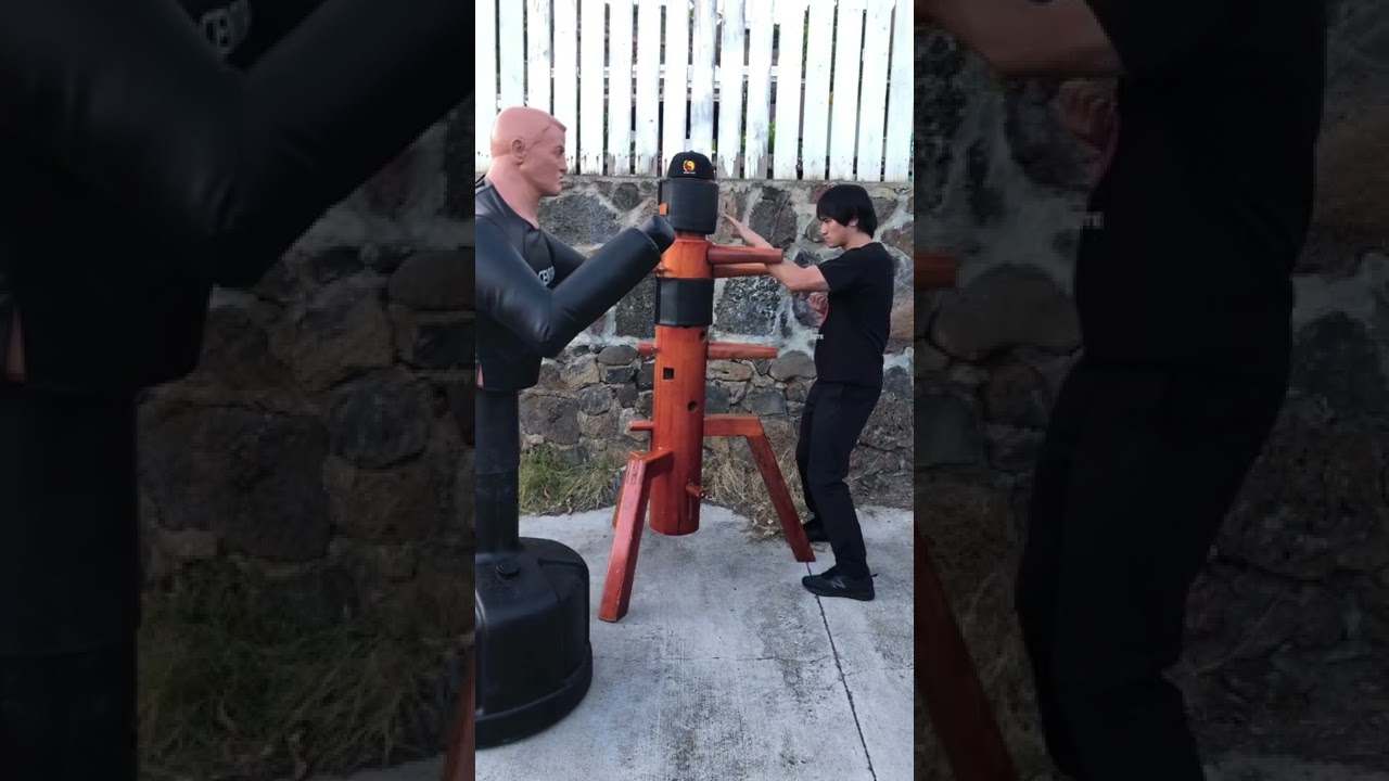 Wing Chun Dummy Set 1 Application Lop Sao Wang Jern Tutorial #shorts