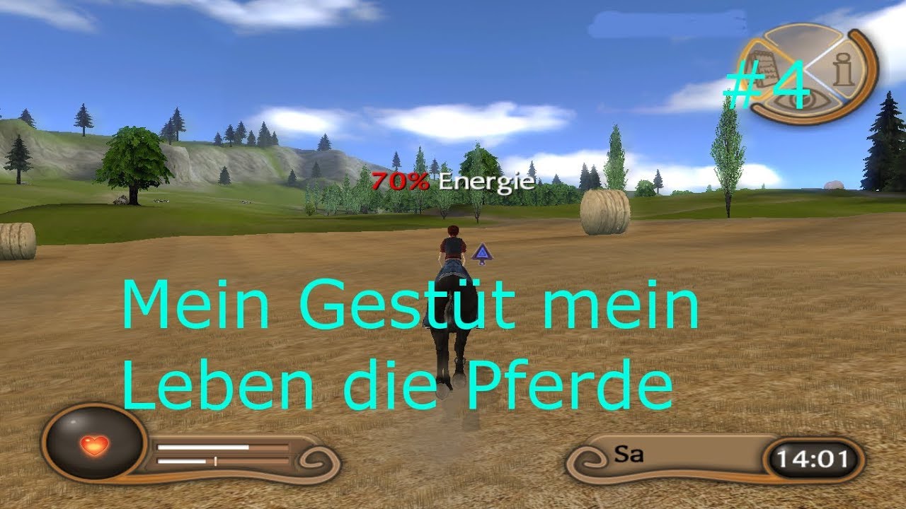 Mein Gest&uuml;t mein Leben die Pferde #4 Das Strohballen Rennen