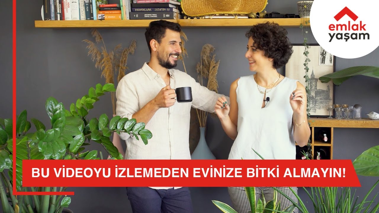 Evde Hangi Bitkiler Yetiştirilmeli? -  Evde Bitki ve Çiçek Bakımı - HurdaHane X Emlak Yaşam