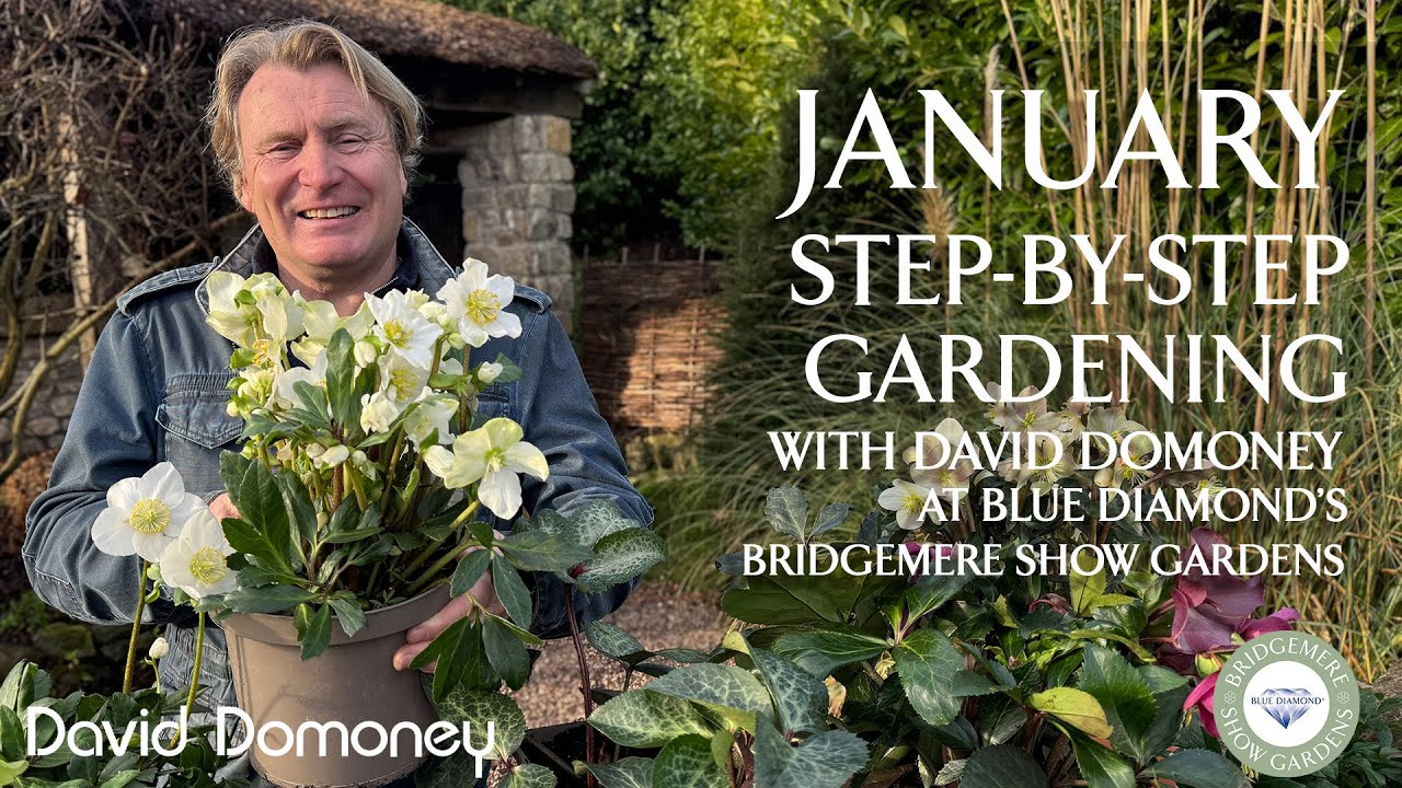 Easy January | Step-by-Step Gardening at Blue Diamond's Bridgemere Show Gardens | Episode 7
